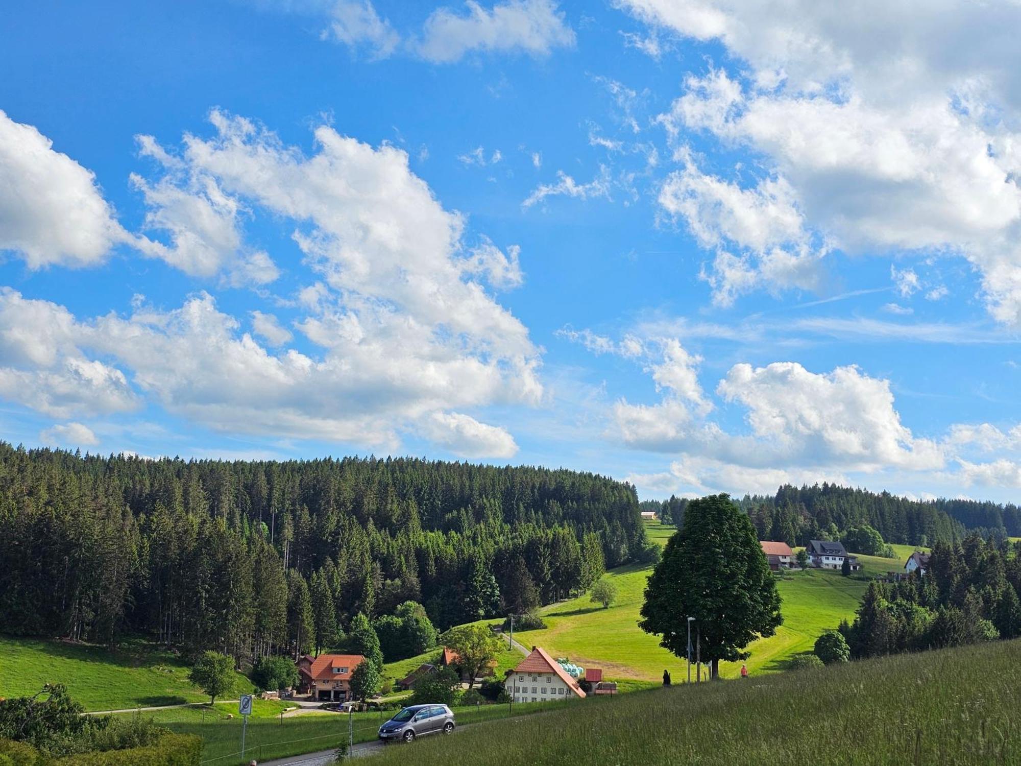 Miuti Residence Triberg im Schwarzwald Exterior photo